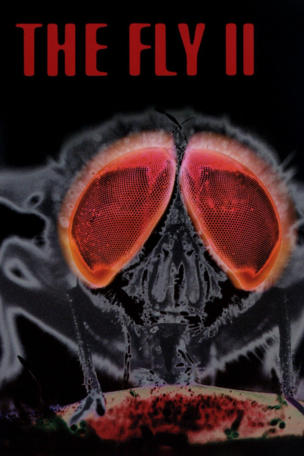 Fly II