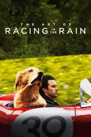 Art of Racing in the Rain