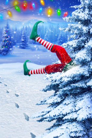 Big Brother Reindeer Games