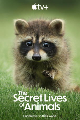 Secret Lives of Animals